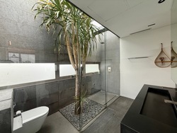 Braddell Heights Estate (D13), Detached #540387061